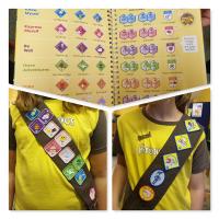 Badges of achievement 2nd Knighton Brownies